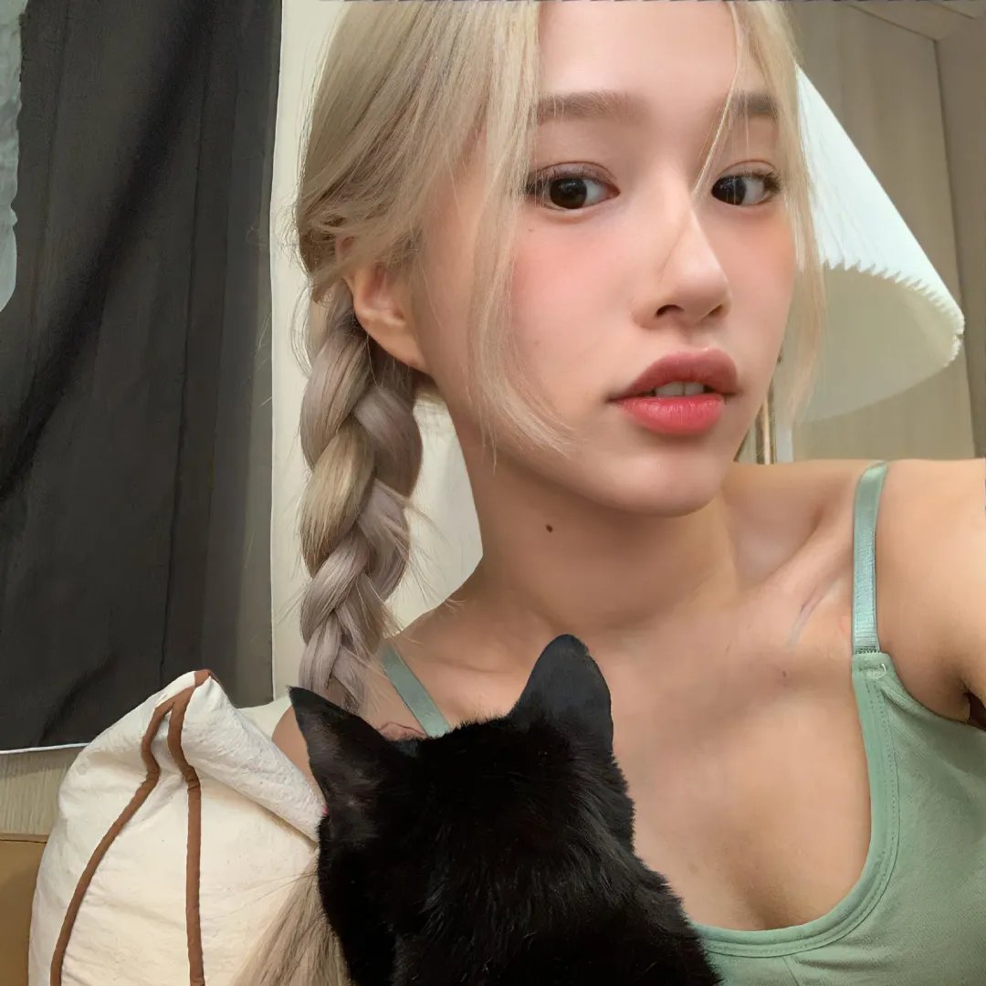 飞鹰