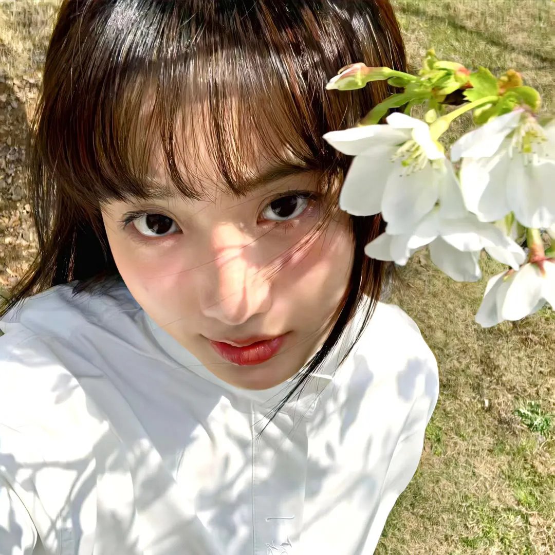 托芙